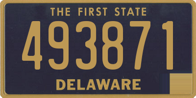 DE license plate 493871