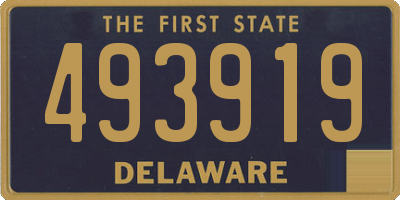 DE license plate 493919