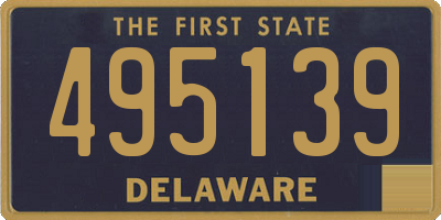 DE license plate 495139