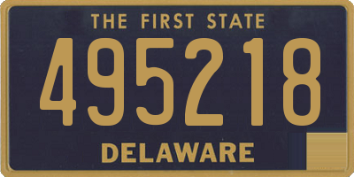DE license plate 495218