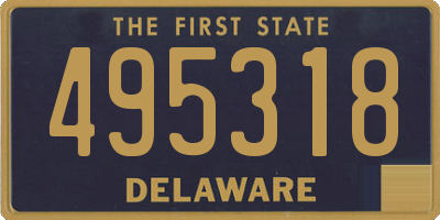 DE license plate 495318
