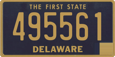 DE license plate 495561