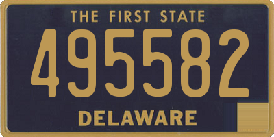 DE license plate 495582
