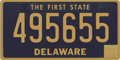 DE license plate 495655