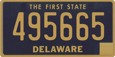 DE license plate 495665