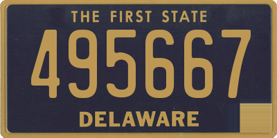 DE license plate 495667