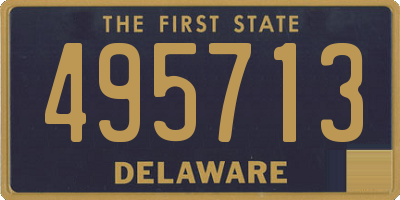 DE license plate 495713