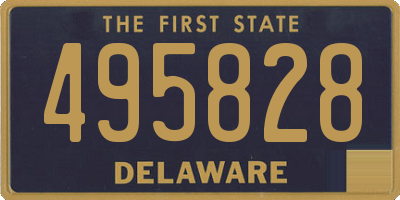DE license plate 495828