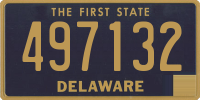 DE license plate 497132