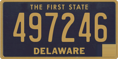 DE license plate 497246
