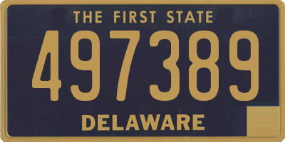 DE license plate 497389