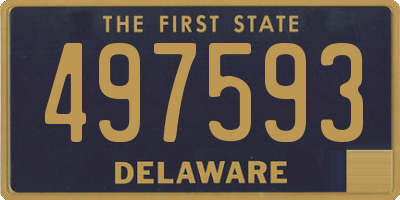 DE license plate 497593