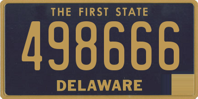 DE license plate 498666