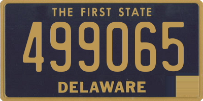 DE license plate 499065