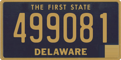 DE license plate 499081