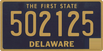 DE license plate 502125