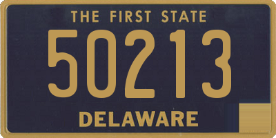 DE license plate 50213