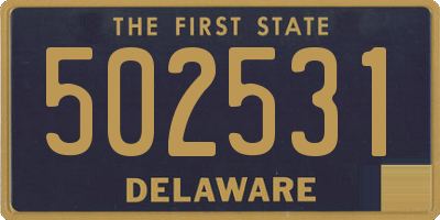 DE license plate 502531