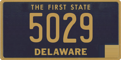 DE license plate 5029