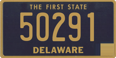 DE license plate 50291