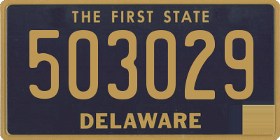 DE license plate 503029