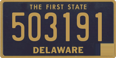 DE license plate 503191