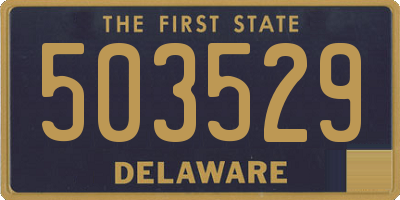 DE license plate 503529