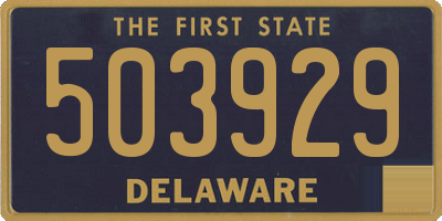 DE license plate 503929