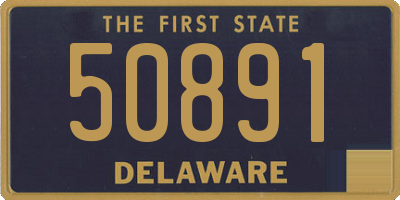 DE license plate 50891