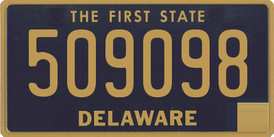 DE license plate 509098