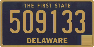 DE license plate 509133