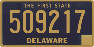 DE license plate 509217