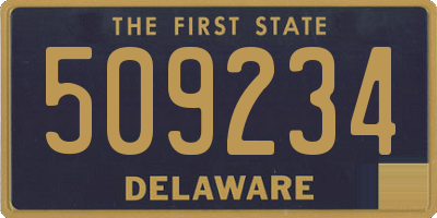 DE license plate 509234