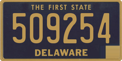 DE license plate 509254