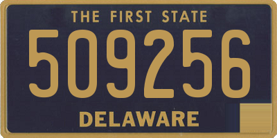 DE license plate 509256