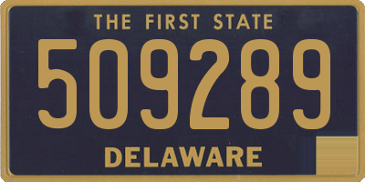 DE license plate 509289