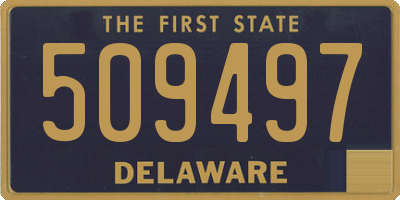 DE license plate 509497