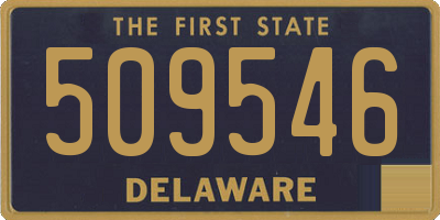 DE license plate 509546