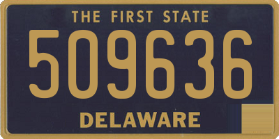 DE license plate 509636