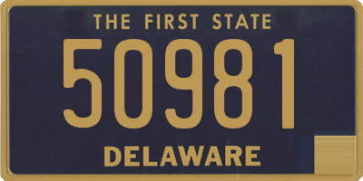 DE license plate 50981