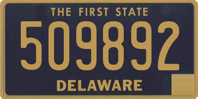 DE license plate 509892