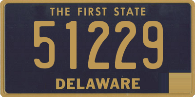 DE license plate 51229