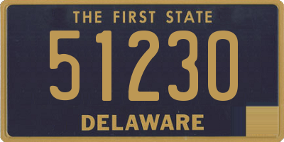 DE license plate 51230