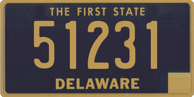 DE license plate 51231