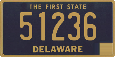 DE license plate 51236