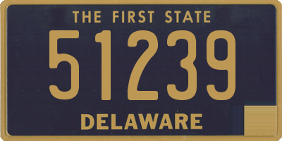 DE license plate 51239