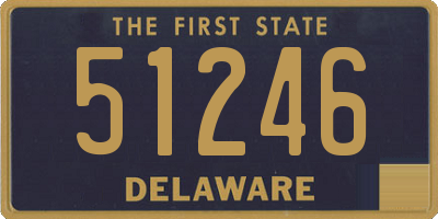 DE license plate 51246