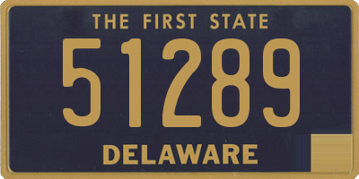 DE license plate 51289