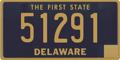 DE license plate 51291