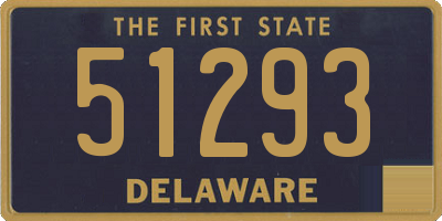 DE license plate 51293